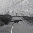 When A Velociraptor Crosses the Road What Do You Do?