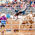 Bull fight — How to be more resilient