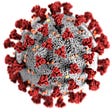 Image of covid-19 virus