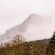 A Pacific Northwest landscape photograph of a snow covered misty hillside as viewed from Rasar State Park, in Skagit County near Hamilton, Washington.