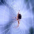 Is Your Faith Like a Spider Web? —