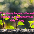The Many Reasons Forest School is a Necessity for Kids Today