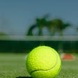 Picture of a tennis ball sitting on grass