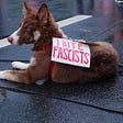 The Goodest Dog is a dog who fights fascism