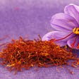 import saffron in Arizona,saffron seller in Florida,saffron shop in Florida,buy saffron in Florida,wholesaler saffron Florida,