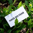 A sign that says “have no fear” rests on leaves with spines