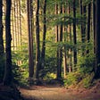 https://www.earth-changers.com/blog/2020/3/21/forests-deforestion-reforestion-amp-afforestation