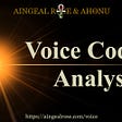 Voice Code Analysis by Aingeal Rose & Ahonu. More info here: https://aingealrose.com/voice