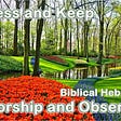 Dress and keep the Garden of Eden. In Biblical Hebrew, the verbs are worship and observe. That’s what God told Adam.