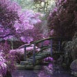 Photo of a garden with a bridge and lots of lilac colored florals.