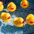 Yellow rubber ducks on a tub of water with a blue and white bottom in the background