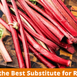 What is the Best Substitute for Rhubarb?