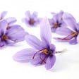 The need to export saffron