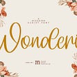 Wonderis Font Download Free_62fd8784d22e9