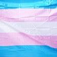 The Transgender Flag: light blue, light pink and white horizontal stripes.