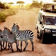 Zebras on the road in Serengeti national park
