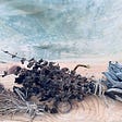 Three bundles of herbs laid on sand against a small puddle of clear water.