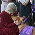 therapy pet