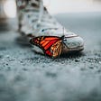 Close-up of a monarch butterfly on the toe of a hightop sneaker.