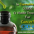 Can cannabis oil treat cancer?