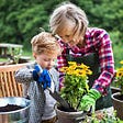 Grandmother helping child plant flowers in pots