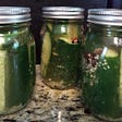 three jars of homemade dill pickles