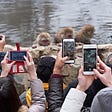 Macaque-Monkey-Being-Surrounded-by-Tourists-Jigokudani-Snow-Monkey-Park-Japan-Copyright-Jean-Huang-Photography.jpg