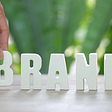 Role Of Branding In Attracting And Influencing Consumer Purchasing Decisions: Brandsandu.Com