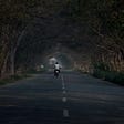 Rider on a motorcycle, no helmet, a straight road, trees making a tunnel overhead, light at the end