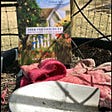 A photo of the book From the Ground Up resting against a trellis in a pot with gardening gloves and a spade in the foreground.