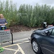 Grey electric vehicle charging at the Eden Project in Devon with a woman standing near the chargepoint.