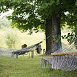 Image shows two macrame hammocks strung between trees in a grassy area.