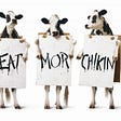 A common Chick-fil-A marketing image, showing three cows on their hind legs, holding signs that say, from left to right, “EAT”, “MOR”, and “CHIKIN”.