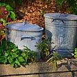 trash cans in yard near plants