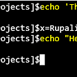 echo prints given string using variable