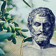 How Thales of Miletus became rich in the olive business
