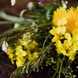 A bouquet of small wildflowers, images courtesy of pexels.com