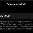 iPhone Developer Mode Switch