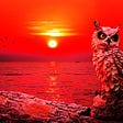 Red owl sky branch