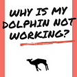 A book cover titled Why is My Dolphin not Working?