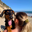 This is a picture of the author and her dog at the beach
