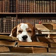 Dog lying on a stack of old books