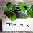 A potted green plant with a thank-you note in front of it