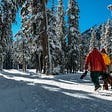 Two friends on a bright winter day, walking through a pine forest to a snowboarding hill.