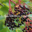 how to make elderberry cough syrup