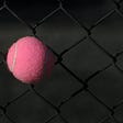 A pink tennis ball stuck in a fence (dark background)