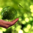 Green crystal ball with tree inside on palm of hand, butterfly nearby, with fuzzy green background.