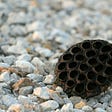 An empty dark coloured lotus seed pod contrasted against light coloured gravel on which it lies.