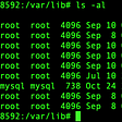 ls -al showing ownership of directories in /var/lib inside the MySQL container.