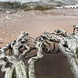 Seashore with low waves coming in and roots of a matured tree above the sand
